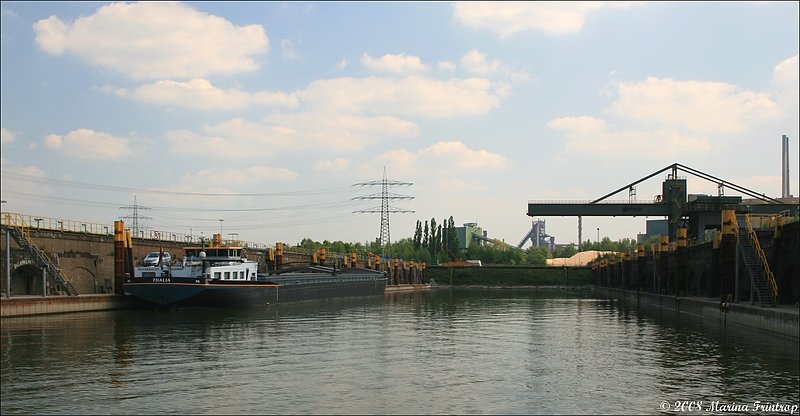 Die  Thalia  (Maasbracht/NL) Europanummer 02328065, Lnge 109,96 m, Breite 11,40 m liegt im Hafen Walsum Sd (Duisburg). Angeblich soll dieses Schiff auch unter den Namen Amoureus, Je-Ad und Cortina unterwegs gewesen sein. 
