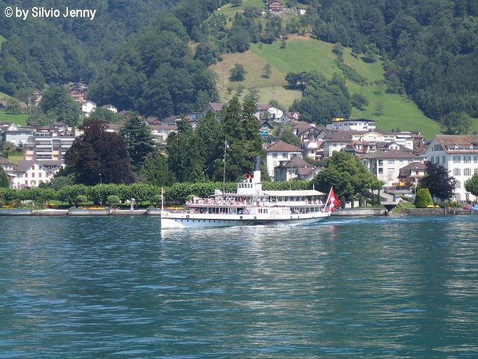 DS Uri in Gersau. Dies sit das lteste im tglciehn EInsatz stehnde Kursschiff des Vierwaldstttersees.