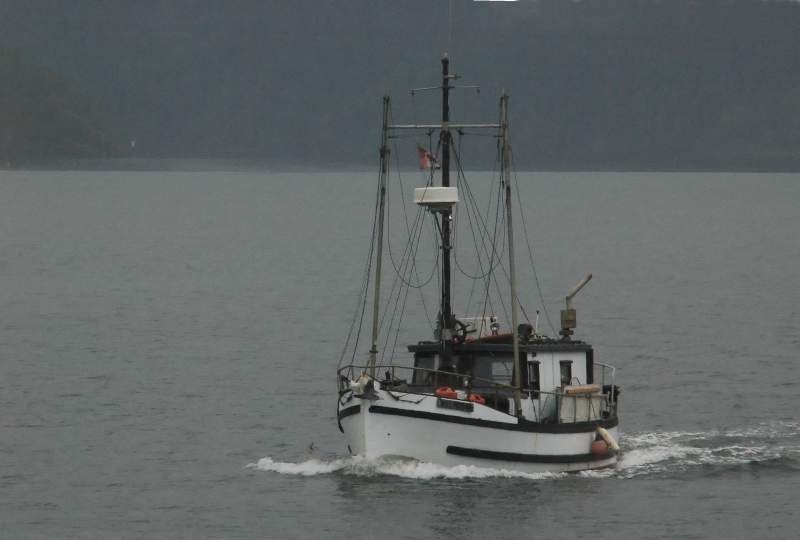 Ein kleiner Fischkutter im Nootka Sound