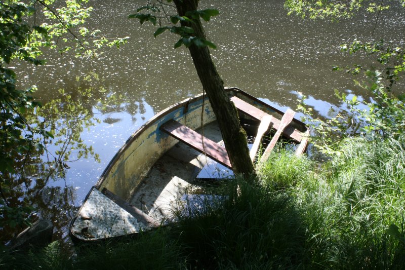 Ein leckgeschlagenes Ruderboot in der Nhe des Hllsteinsees, Mai 2009