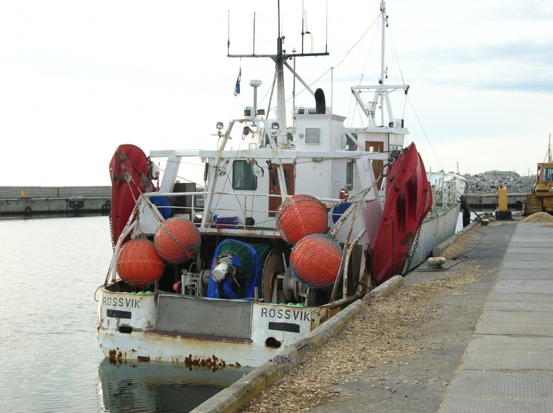 Ein nicht mehr ganz neuer Trawler namens ROSSVIK im Hafen von Tallinn. Trotz ISPS war war es im April 2006 kein Problem bis zur Kaikante  vorzudringen . Dem estnischen Zoll, der kam als ich das Hafengebiet verlassen hatte, war es peinlich (es gab Fussball!). Dennoch wurde kein Platzverweis o.. ausgesprochen. Nach einer rund 5-10 sekndigen  Ausweiskontrolle  verschwand der Zollbeamte wieder in seiner Baracke und schaute sich das Fussballspiel zu Ende an, whrend sich andere Besucher im Hafenbereich mit Angeln die Zeit vertrieben. Das sollte man mal besser nicht in einem deutschen Hafen versuchen.