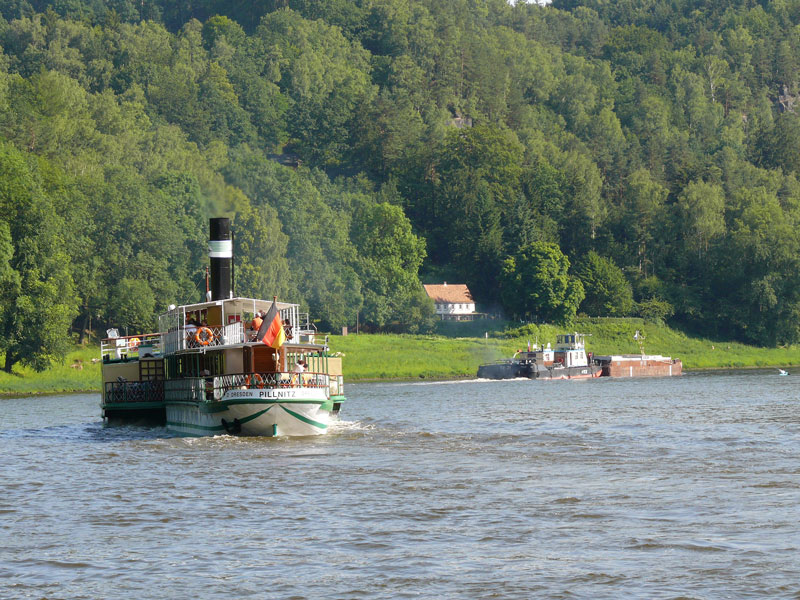 Ein tschechischer Schubverband mit TR 31 Praha gefolgt vom Personendampfer PILLNITZ auf der Elbe oberhalb vom Kurort Rathen; 17.06.2009

