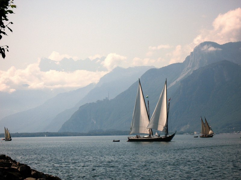 Eine Barke folgt im gemtlichen Abstand den Segelbooten.
(25.07.2008)