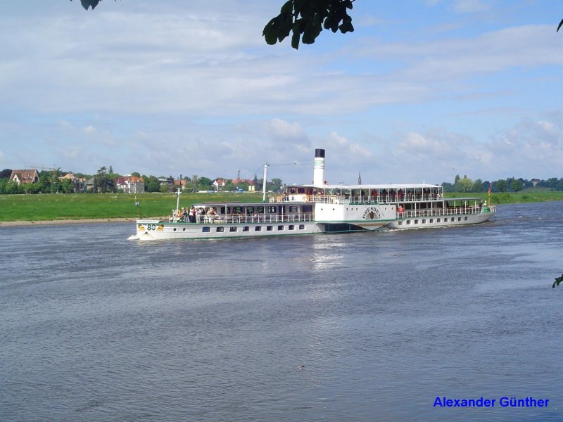 Elbdampfer  Dresden  zwischen Dresden und Pillnitz.
Aufnahme vom 27.05.2006.