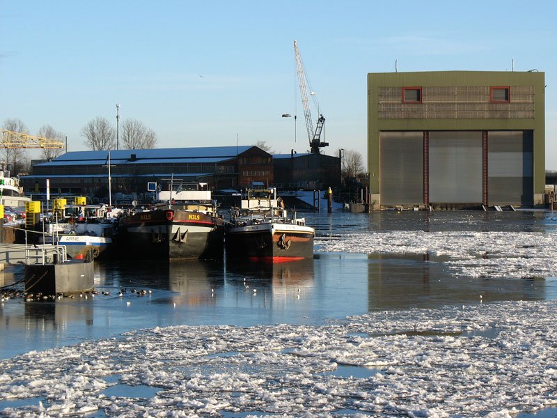  ELSFLETH ARNE ,  NILS  und  BORSIGWALDE  bei der Hitzler-Werft in Lauenburg; 06.01.2009

