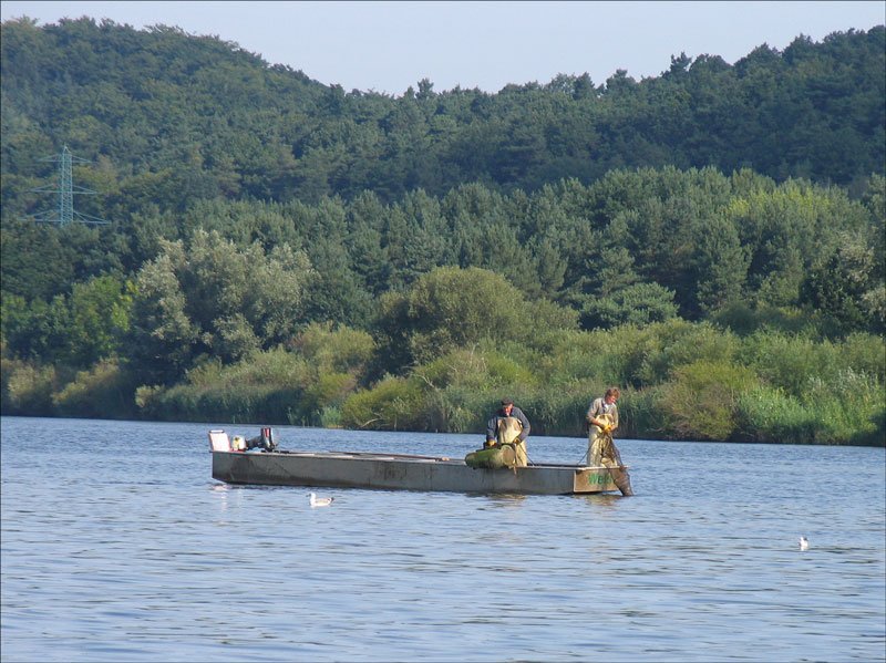 Es gibt noch richtige Fischer auf der Elbe; bei Geesthacht, 07.08.2008