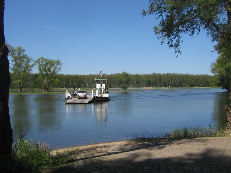 Fhre Werben / Elbe im Mai 08