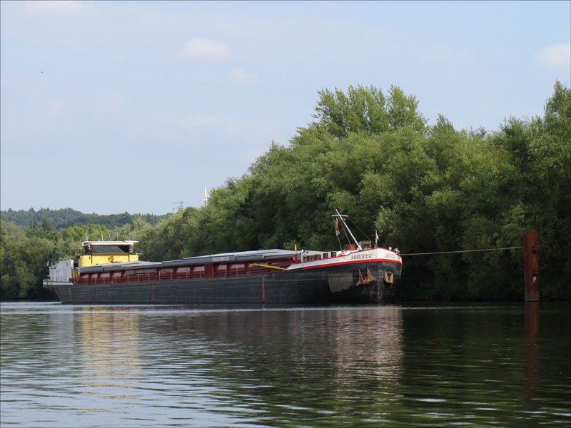 Frachtschiff GMS   ANNEROSE  , Minden,  ENI 04007180, liegt auf der Elbe im Hafen Geesthacht; dasselbe Motiv wie auf Bild 7270, hier am Nachmittag des 06.08.2008 aufgenommen