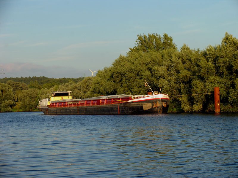 Frachtschiff GMS   ANNEROSE  , Minden,  ENI 04007180, liegt auf der Elbe im Hafen Geesthacht; dasselbe Motiv wie auf Bild ID 7269, hier am Abend des 5.08.2008 aufgenommen
