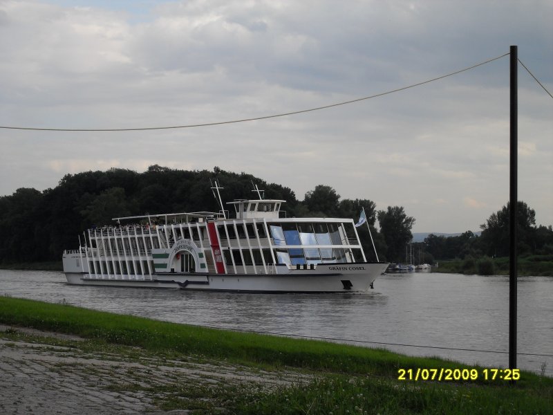 Grfin Cosel vor der Elbinsel in Pillnitz