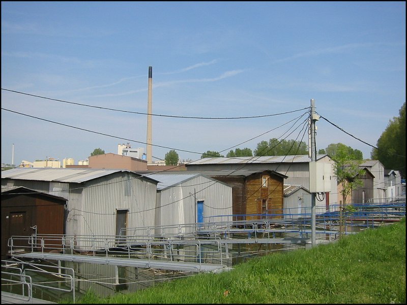 Hier sieht man die nicht so prchtige Rckseite des Yachthafens am Rhein bei Karlsruhe-Maxau. (03.05.2006)