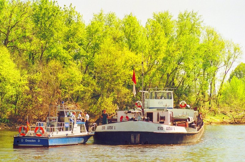 Im September 2003 hat sich das tschechische Motorschiff  Lucky 1  der Reederei EVD an der Gauernitzer Insel (Elbe-Kilometer 73,5) festgefahren. Die  Blauen Jungs  mit  WSP 02  aus Dresden sind bereits zur Stelle. - Scan vom Kleinbild-Negativ