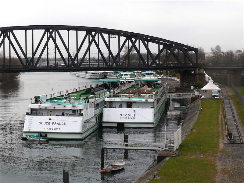 In Straburg warten mehrere Kreuzfahrtschiffe, wie S-ODILE und DOUCE FRANCE, auf neuen Einsatz; 26.03.2009
