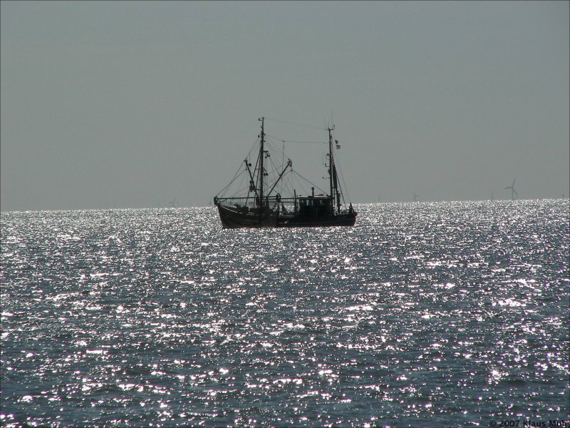 Krabbenkutter vor Borkum.  01.05.2007