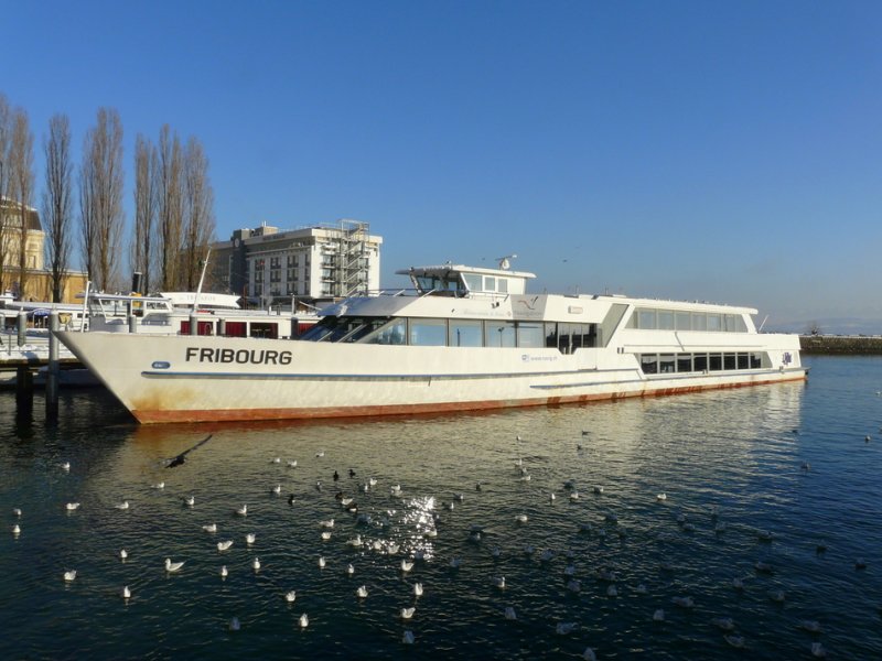 LMN - Winterimpressionen - MS FRIBOURG (Freiburg) im Hafen von Neuchatel am 01.01.2009