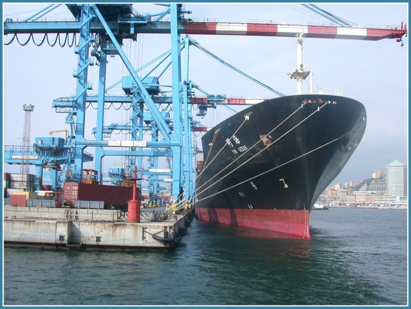 Lschen von Containern von der MG Ocean in Genova. (07.10.2004)