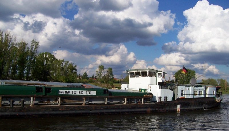 MS  Altenburg  am 10.05.2005 zu Tal an der Gauernitzer Insel, Elbe-Km 74. Europa-Nummer 4031130, 67 m x 8,20 m, 740 Tonnen, Eich-Nummer EMG 4128, Heimathafen Berlin.