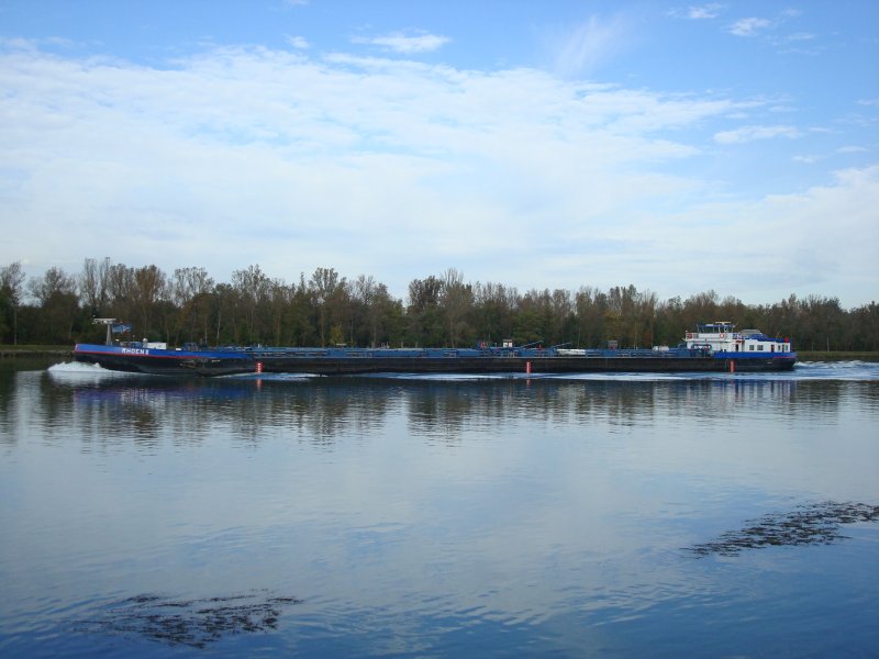 MS  RHOEN 2  ,
L 110m, B 8,20m, aus Duisburg auf dem Weg nach Breisach rheinaufwrts, Okt.2008