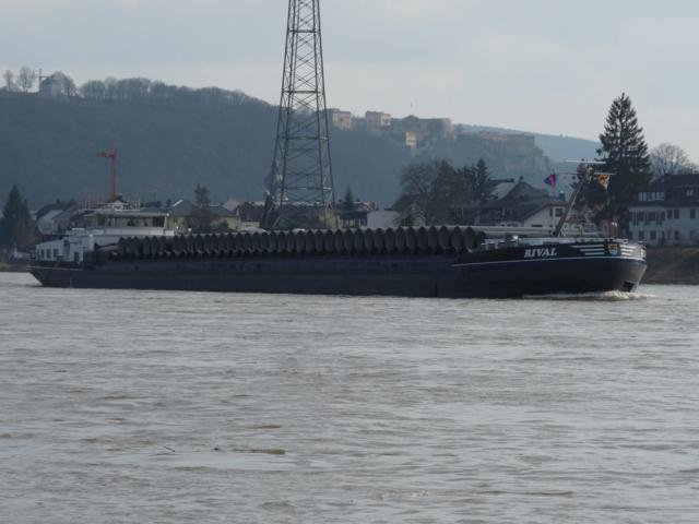 MS Rival mit Rhren talfahrend unterhalb Koblenz - Neuendorf. Fotografiert vom Niederwerth aus