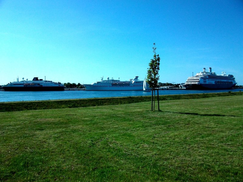 MV Minerva, MV Ocean Monarch und MV Rotterdam (v.l.n.r) in WArnemnde (19.08.09)