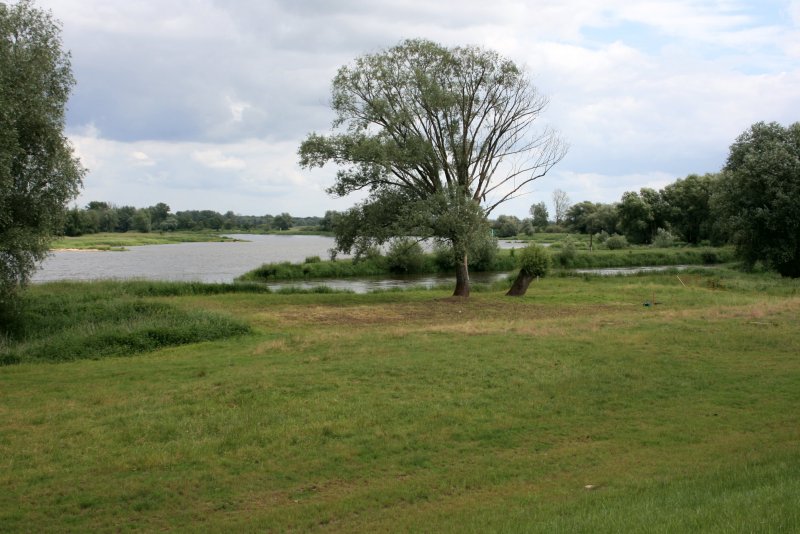 Neissemnde, Ortsteil Ratzdorf, Oder-Neisse-Mndung, gesehen vom Oder-Neisse-Radweg, 04.06.09