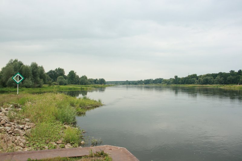 Oderabschnitt bei Aurith, Blickrichtung Frankfurt/Oder, deutsches Ufer