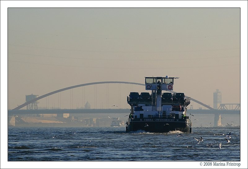 RoRo-Frachtschiff  Terra  2316216 (Zwijndrecht/Niederlande) passiert mit einer Ladung Mercedes-Transporter den Rhein bei Duisburg-Neuenkamp. Baujahr 1981, Lnge 109,88 m, Breite 12,02 m, Tiefgang 2,16 m.