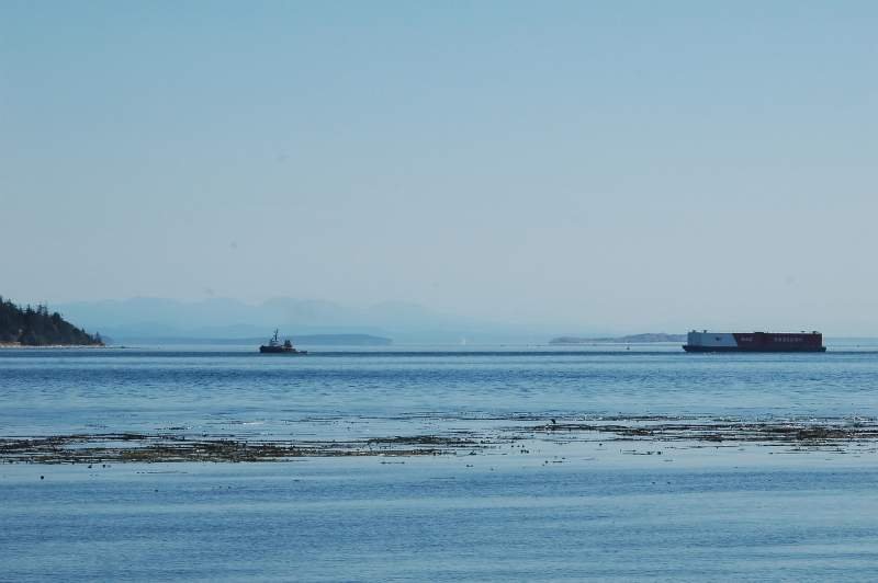 Schleppzug mit Holzschnitzeln fhrt bei Campbell River in die Discovery Strait ein. Dies ist eine Schlssestelle der  Inland Passage 