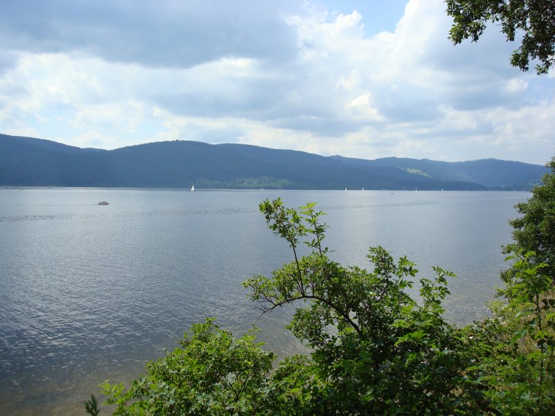 Schluchsee , mit ber 900m hchstgelegene Talsperre Deutschlands im Sdschwarzwald,1932 eigeweiht mit E-Kraftwerk ,ca.7,5 mal 1,5km Ausdehnung , Juli 2008