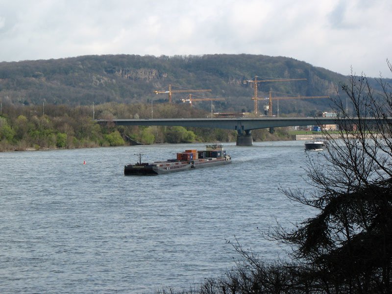 Schubverband auf dem Rhein bei Bonn; 06.04.2008
