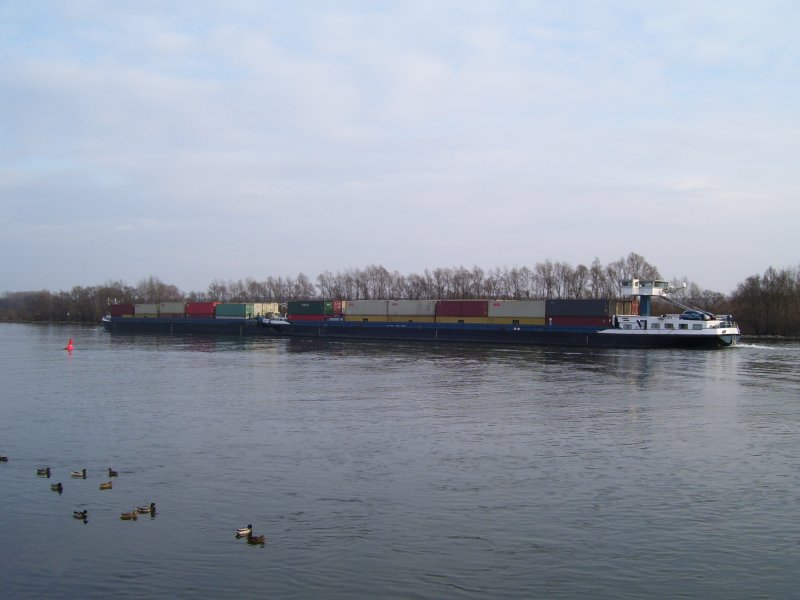 Schubverband  Donata  auf dem Rhein bei Eltville, Fahrtrichtung Mainz; 28.02.2008