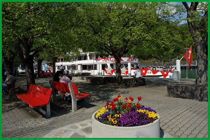 Schweiz-Brienzersee. Eine wunderschne Schiffsanlegestelle in Brienz, die auch schattige Pltze zu bieten hat fr Leute, die nur schauen wollen. 6.5.2008