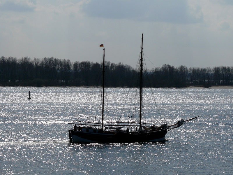 Segler per Motor auf der Elbe bei Blankenese im Gegenlicht; Hamburg, 05.04.2009
