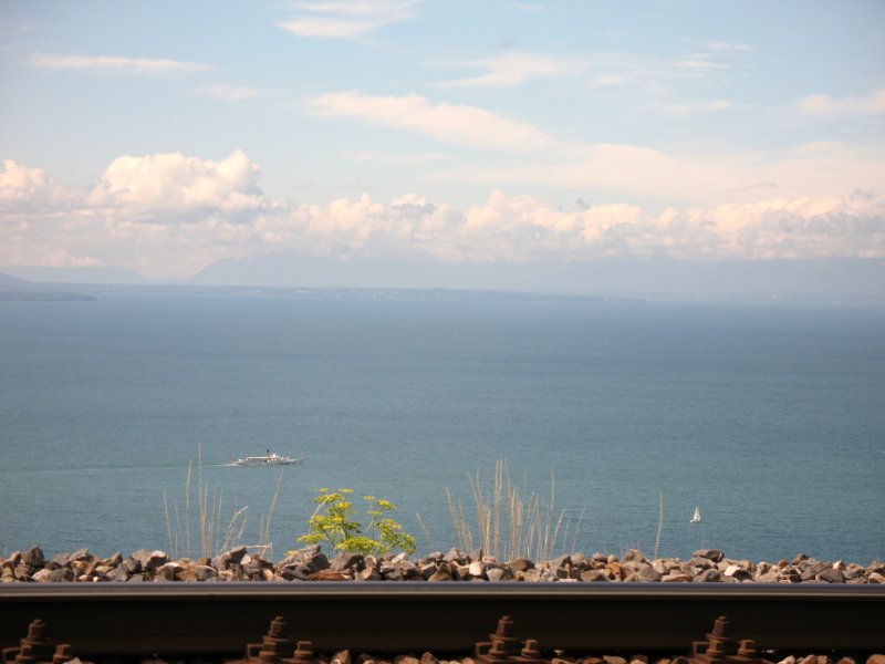 Sicht vom Wanderweg Grandvaux nach Bossire auf den Genfersee,
auf dem gerade ein Dampfschiff in Richtung Lausanne unterwegs ist.
