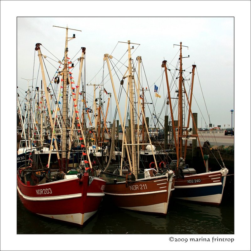 Solidaritt zeigen - Kstenfischer kmpfen um ihre Existenz, Neuharlingersiel/Ostfriesland.