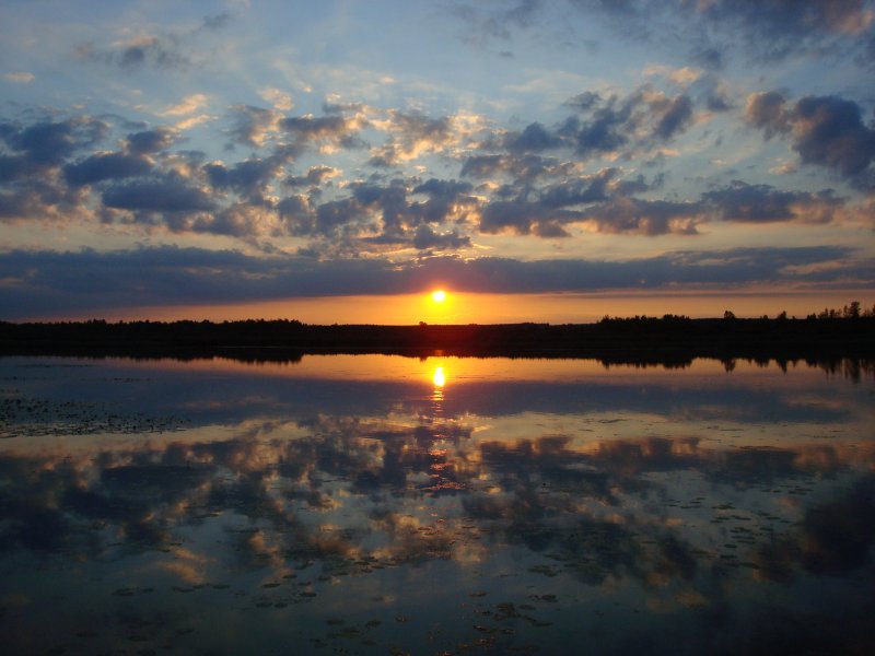 Sonnenuntergang am Federsee bei Bad Buchau/Oberschwaben Aug.2008