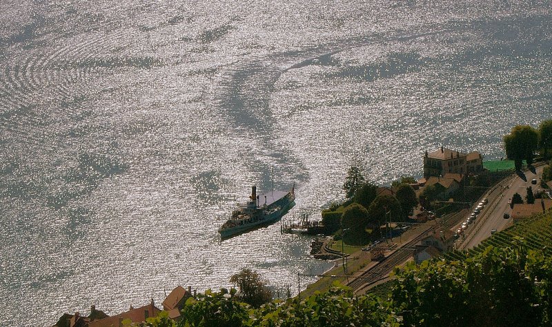 Sptsommerfahrt auf dem Genfersee.
(September 2009)