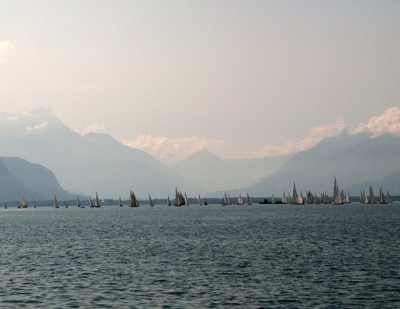 Startschuss zu einem Segelbootrennen auf dem Genfersee am 25.07.2008 