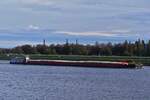Schubber  von Linax Shipping, ENI 02314304, schiebt den Leichter GM SABA, ENI 02323239, L 88,24 m; B 11,47 m, 2571 t; auf der Maas durch Maastricht. 10.2026