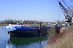 GMS Houdoe, ankert im Rheinhafen von Breisach, L=110m, Tonnage 3004t, 2108 PS, Baujahr 1993, gemeldet in Heijningen/NL, März 2025