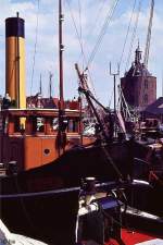 Im Hafen von Enkhuizen am Ijsselmeer (Juni 1983).