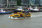 WOLFGANG BORCHERT (2) (ENI 051 14630) am 14.7.2019, Hamburg, Elbe vor dem Schlepperponton St.