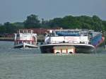 Hier begegnen sich die Marina und das Fahrgastschiff Nicola in Riesenbeck. So sieht es aus wenn ich aus der Haustr fotografiere: Am 12.06.2010