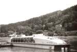 Gleitboot NEWA der Weien Flotte Dresden in der Schsischen Schweiz.