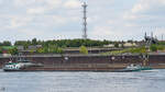 Das Gütermotorschiff LAGUZ (ENI: 06003519) passiert den Rhein bei Duisburg.
