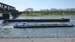 Zusammentreffen von FAVORIET (ENI: 02327490) & VIGILIA (ENI: 04806310) auf dem Rhein bei Duisburg.