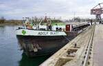 GMS ADOLF BLATT ENI 04402560, ankert im Rheinhafen von Breisach, Nov.2025