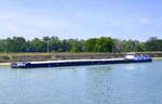 GMS Bayern, rheinaufwärts, in Wartestellung vor der Schleuse Vogelgrün/Elsaß, L=86m, Tonnage 1425t, 800PS, Baujahr 1971, gemeldet in Regensburg, Aug.2024