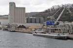 CREDENDO VIDES 3 (06001814) & SIGUENZA (205355890) zusammen in Plochingen 07.02.2024