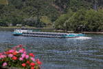 Binnnenschiff Cobra am 20.06.2025 in Boppard/Rhein